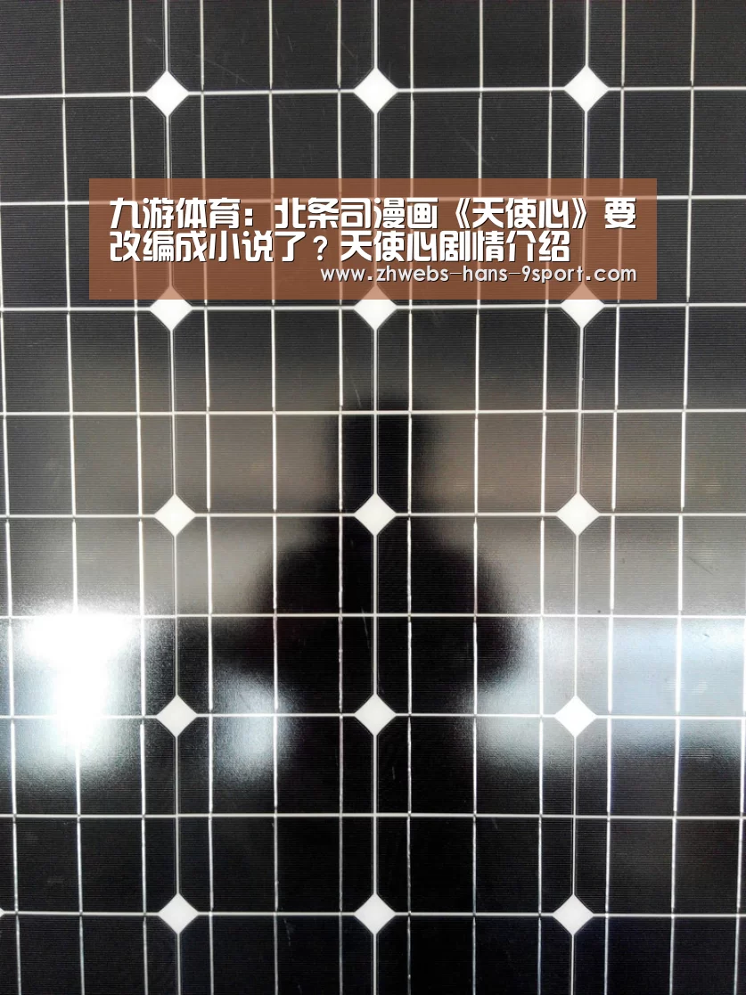 九游体育:北条司漫画《天使心》要改编成小说了?天使心剧情介绍(图2) 九游体育